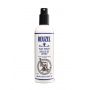 Reuzel Clay Spray 355 ml.